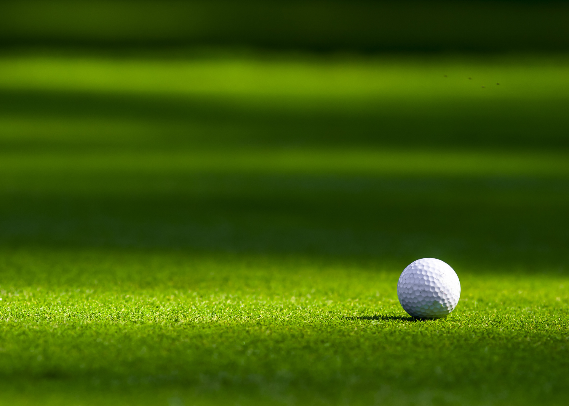 Golf Ball Golf Ball